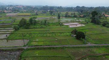 Gambar 1 Dijual Tanah Sawah/ Persawahan 8000m² Di Gn Sari Pamijahan Bogor