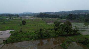 Gambar 3 Dijual Tanah Sawah/ Persawahan 8000m Gn Sari Pamijahan Bogor. 