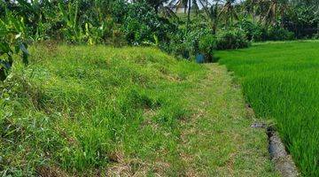 Gambar 1 Di jual tanah lokasi elit strategis view sawah 