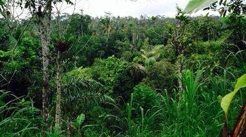 Gambar 1 Dijual Tanah Luas View Sungai di Tegalalang Ubud Gianyar Bali