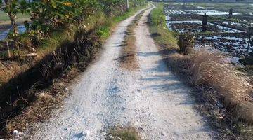 Gambar 3 Tanah kavling 200 meter dari Pantai Pasut Tabanan 