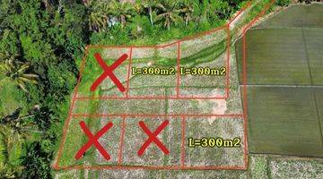 Gambar 4 3 kavling Terakhir di kaba kaba tabanan luas 300m2