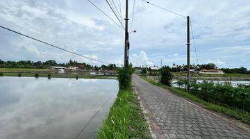 Gambar 1 Tanah 800m2 Di Pantai Kedungu Tabanan Bali