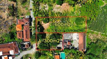 Gambar 4 Tanah 300 m² Di pantai saba gianyar Bali 