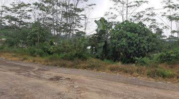 Gambar 3 Tanah Di Jl Cagak Subang Jalan Mobil Besar Cocok Untuk Kebun