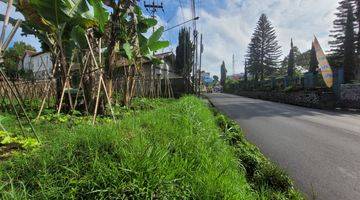 Gambar 1 Tanah Straregis di Main Road Jl Tangkuban Perahu, Lembang Bandung