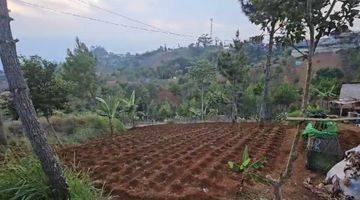 Gambar 1 Taman Luas Cocok Bangun Hotel Glamping Kebun di Cimenyan Bandung