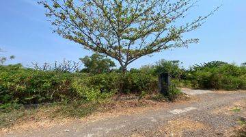 Gambar 2 TANAH BEACH FRONT SAWAN BULELENG