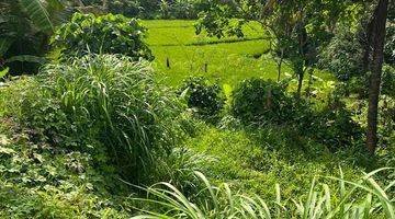 Gambar 1 Dijual Lahan Strategis View Sawah Ubud Bali