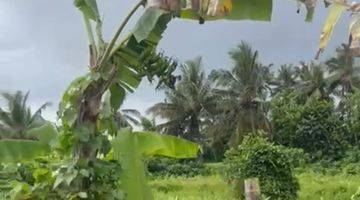 Gambar 5 Dijual Lahan Strategis View Sawah Ubud Bali