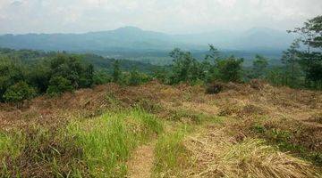 Gambar 3 Dijual Tanah di Cilember,Puncak