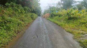 Gambar 3 Lahan Kosong Lokasi Pinggir Jalan Raya di Pandeglang,Banten