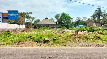 Gambar 1 Tanah SHM 2768m2 di Jl Yudistira, Dukuh, Grogol Salatiga. Sebelah Sd Muhammadiyah Plus Seberang Kelurahan Posisi Lokasi Tinggi