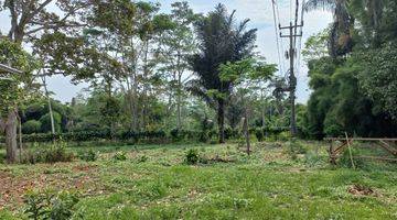 Gambar 1 Tanah 3 Lokasi di Perkebunan Teh Yang Asri Daerah Jawa Barat