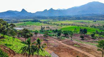 Gambar 1 Tanah Kavling Murah View Sawah Dan Pegunungan Bogor