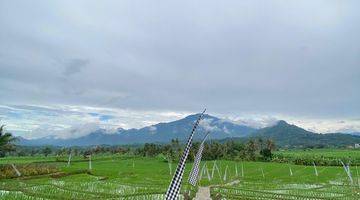 Gambar 1 Tanah Sawah 400 Meter Akses Mobil Masuk 