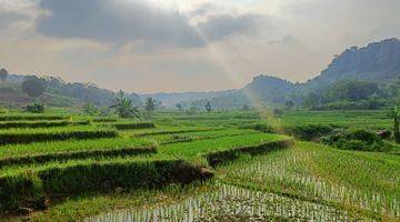 Gambar 1 Kavling Sawah Nempel Sungai Akses Masuk Mobil