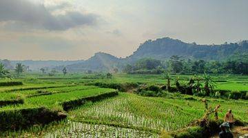 Gambar 3 Kavling Sawah Nempel Sungai Akses Masuk Mobil