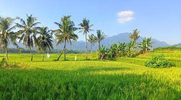 Gambar 5 Tanah Sawah Produktif View Mewah Akses Mobil