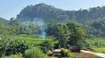 Gambar 1 Tanah Murah di Kawasan Wisata Bogor Buat Villa Kebun