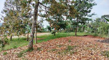 Gambar 4 Kavling Villa 600 meter Harga 500 ribuan Di Kawasan Agroeduwisata