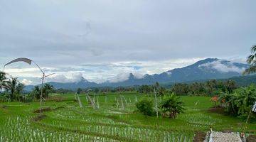 Gambar 3 Tanah Sawah 400 Meter Akses Mobil Masuk 