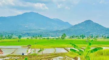 Gambar 1 Tanah Sawah Produktif SHM Gratis Perawatan 2 Tahun