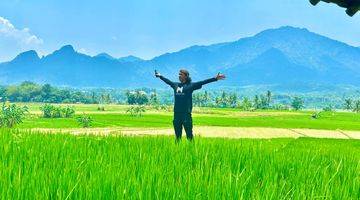 Gambar 1 Tanah Sawah 1000 Meter Akses Jalan Masuk Mobil