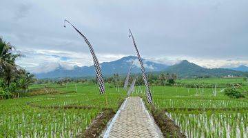 Gambar 4 Tanah Sawah 400 Meter Akses Mobil Masuk 