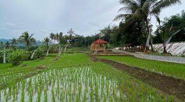 Gambar 3 Tanah Sawah 400 Meter Akses Mobil Masuk 