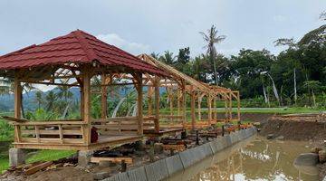 Gambar 1 Tanah Sawah 400 Meter Akses Mobil Masuk 