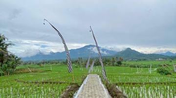 Gambar 5 Tanah Sawah 400 Meter Akses Mobil Masuk 