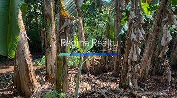 Gambar 4 Regina Realty, Dijual Rumah Hitung Tanah, Cilacap Jawa Tengah