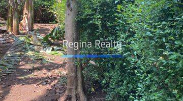 Gambar 5 Regina Realty, Dijual Rumah Hitung Tanah, Cilacap Jawa Tengah