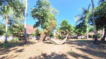 Gambar 4 Prime Land for Sale in East Gili Air GP0217