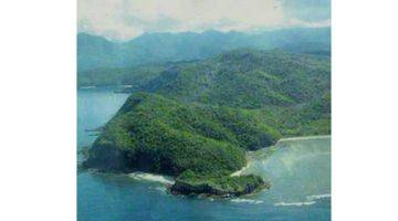 Gambar 4 Big And Lush Land In The West Cost Of Jereweh Sumbawa Gp0091