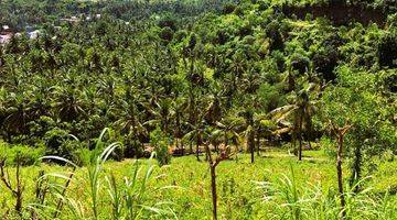 Gambar 1 Exclusive Land For Sale North Lombok Gp0181