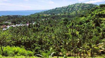 Gambar 2 Exclusive Land For Sale North Lombok Gp0181