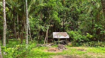 Gambar 5 Exclusive Land For Sale North Lombok Gp0181