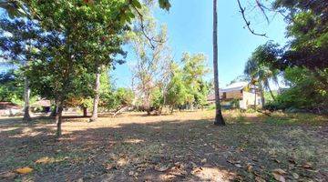 Gambar 3 Prime Land for Sale in East Gili Air GP0217