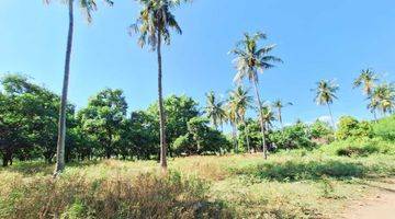 Gambar 2 Prime Land for Sale in East Gili Air GP0217