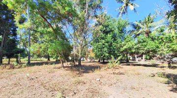 Gambar 1 Prime Land for Sale in East Gili Air GP0217