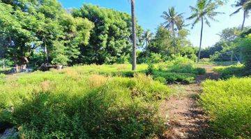 Gambar 4 3000sqm Pristine Flat Land Gili Meno Gp0109