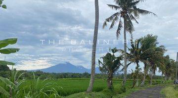 Gambar 1 Ideal Investment Opportunity In Kerambitan, Tabanan