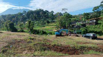 Gambar 5 JUAL TANAH KAVLING  900M² SHM,KAWASAN PUNCAK CISARUA BOGOR