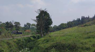 Gambar 1 Tanah flexsibel siap bangun puncak bogor , view gunung 