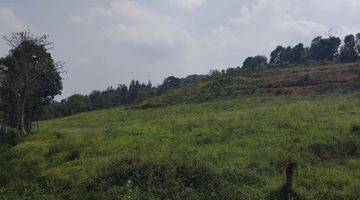 Gambar 5 Tanah flexsibel siap bangun puncak bogor , view gunung 