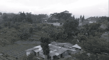 Gambar 1 Tanah Luas View Bagus di Sukasari Bandung