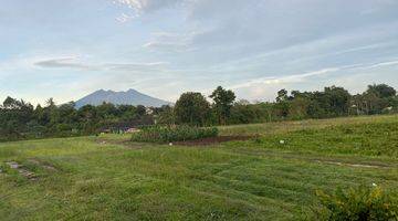 Gambar 4 Jual Tanah Murah 3000m² Area Wisata Megamendung Cisarua Puncak