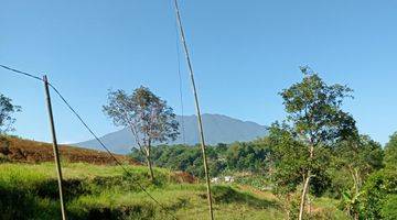 Gambar 3 Tanah SHM pinggir jln kabupaten di puncak cisarua